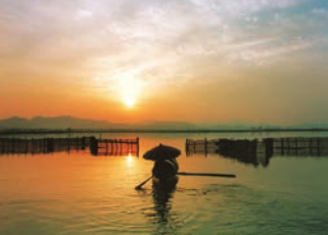 鉴湖水 鉴湖水