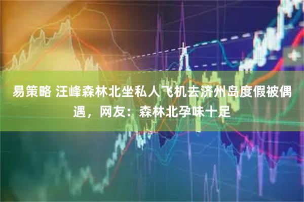 易策略 汪峰森林北坐私人飞机去济州岛度假被偶遇，网友：森林北孕味十足