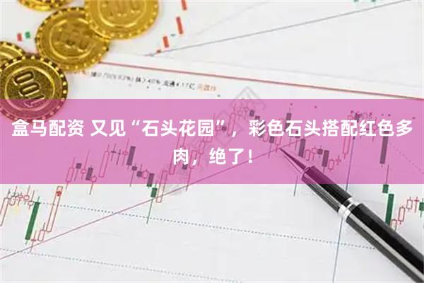 盒马配资 又见“石头花园”，彩色石头搭配红色多肉，绝了！