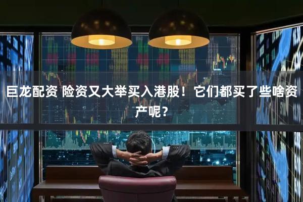 巨龙配资 险资又大举买入港股！它们都买了些啥资产呢？