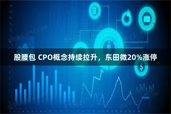 股腰包 CPO概念持续拉升，东田微20%涨停