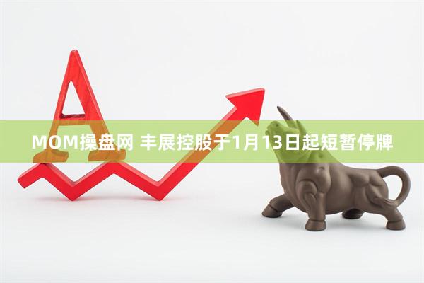 MOM操盘网 丰展控股于1月13日起短暂停牌