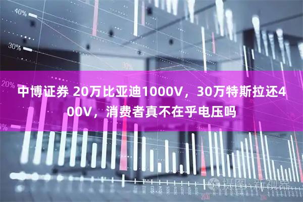 中博证券 20万比亚迪1000V,30万特斯拉还400V,消费者真不在乎电压吗