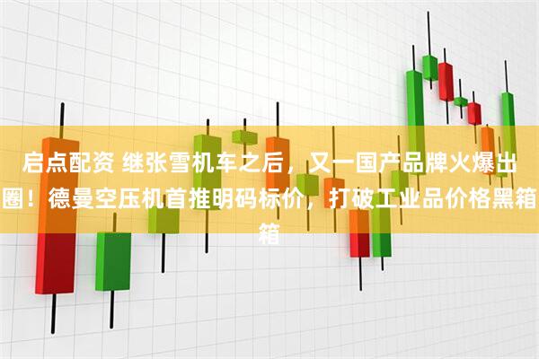 启点配资 继张雪机车之后，又一国产品牌火爆出圈！德曼空压机首推明码标价，打破工业品价格黑箱