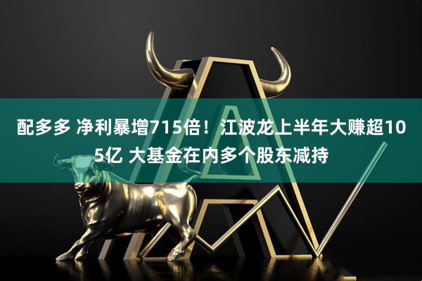 配多多 净利暴增715倍!江波龙上半年大赚超105亿 大基金在内多个股东减持